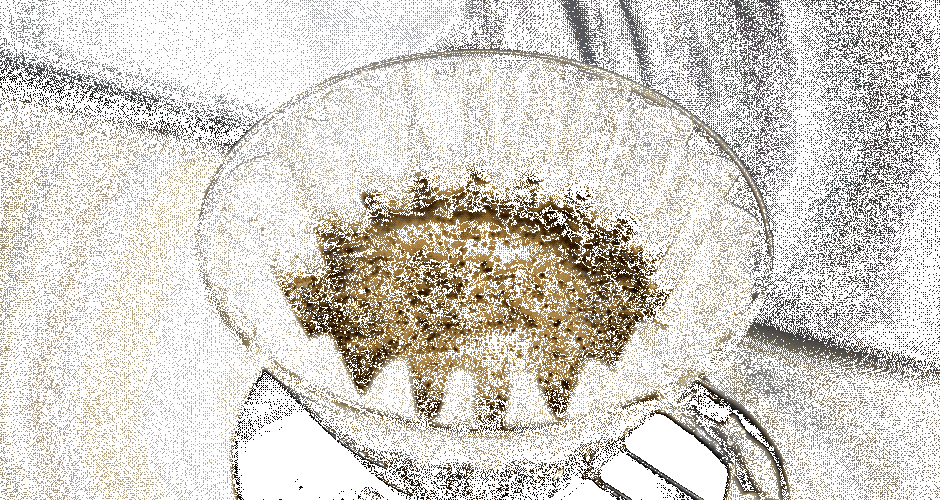 TEMPERATUR YANG IDEAL UNTUK SEDUHAN KOPI - Coffeeland